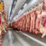 Aumenta 1.7% producción mundial de carne; sector porcino frena su expansión: FAO