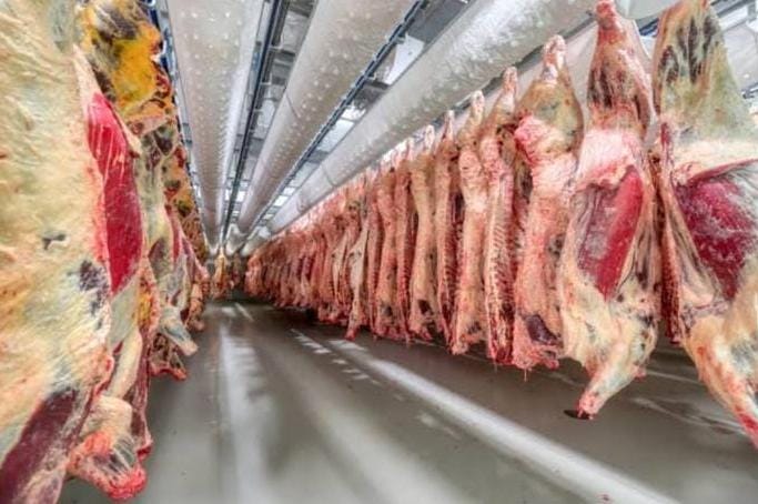 Aumenta 1.7% producción mundial de carne; sector porcino frena su expansión: FAO