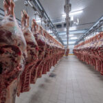Industria cárnica mexicana: sector agroalimentario en transformación