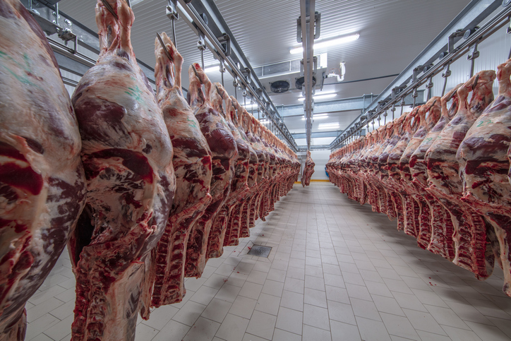 Industria cárnica mexicana: sector agroalimentario en transformación
