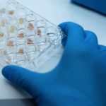 Inteligencia Artificial Generativa en la Producción de Medicamentos Personalizados