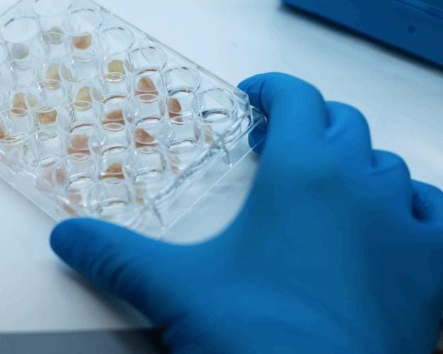 Inteligencia Artificial Generativa en la Producción de Medicamentos Personalizados