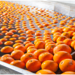 Ecolab reconoce a Del Monte por eficiencia operativa y ahorro de agua