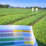 Heineken México y Bioram: Biotecnología que transforma residuos en impacto ambiental